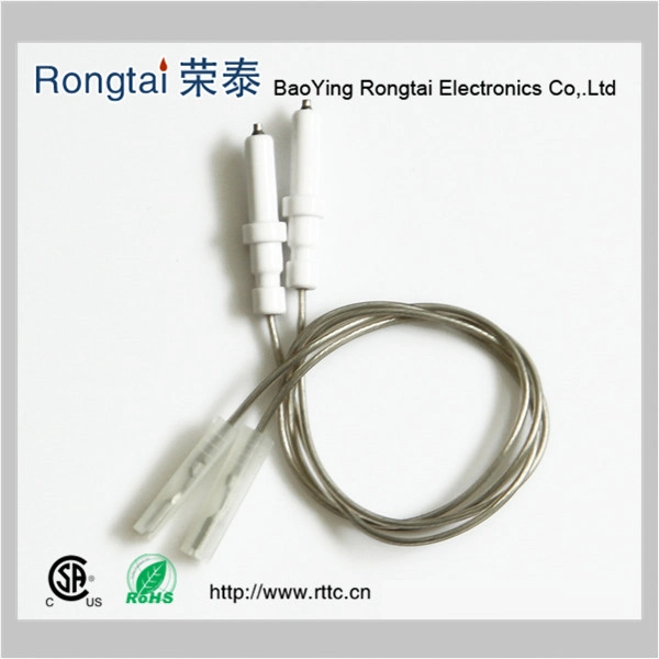 Ceramic Ignition Electrode