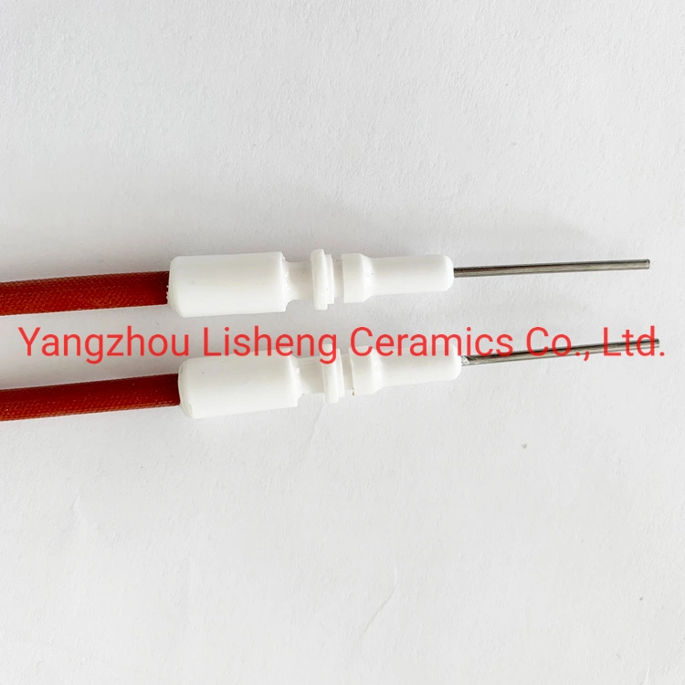 Oven Ignition Electrode Spark